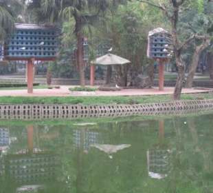 Im botanischen Garten