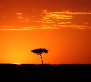 Sonnenaufgang Masei Mara
