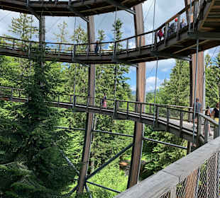 Baumwipfelpfad Bayerischer Wald