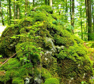 Der Fünf-Seidla-Steig bei Gräfenberg