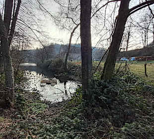 Wandern Horbach in Horbach