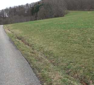 Birnenerlebnisweg Glems