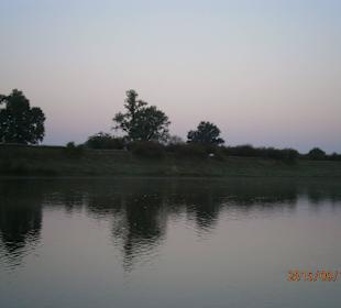 Shore line looking good.