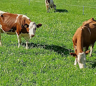 Wandern Bad Hofgastein