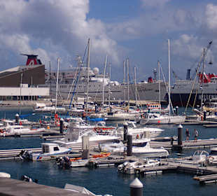 Die Daphne vor Horta, Azoren