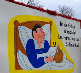 Nürnberger Faschingsumzug 2012