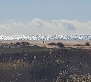 Strand Conil de la Frontera