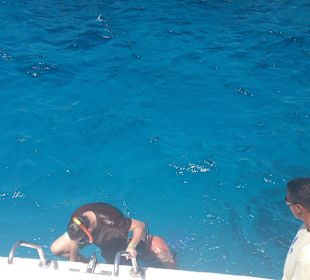 Schnorchelausflug zur Orange Bay