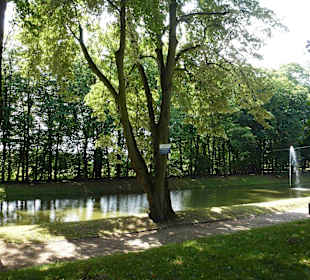Museum und Park von Jan Kochanowski