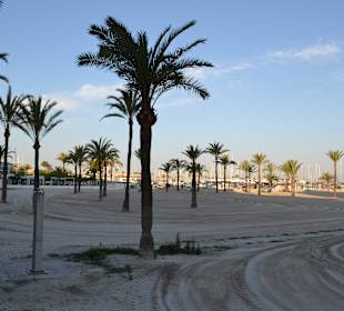El Arenal at the morning - The Best Beach