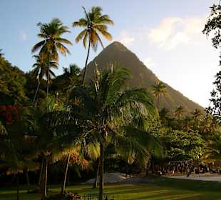 Piton vom Jalousie Hilton