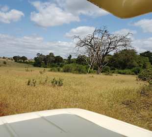 Erlebnisse und Wege der Safari