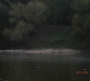 A good spot on the rocks