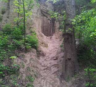 Wąwóz Świętej Królowej Jadwigi