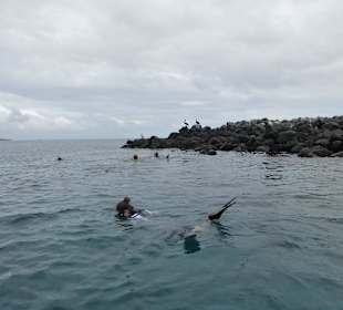Schnorcheln vor Isla Lobos