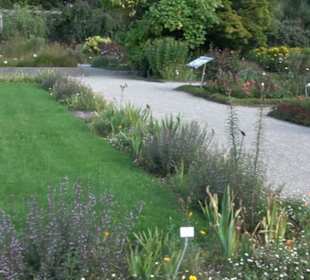 Botanischer Garten München