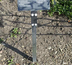 Erläuterungen der Kräuter