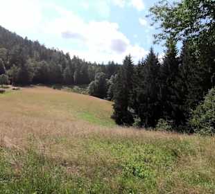 Wandern Schenkenzell