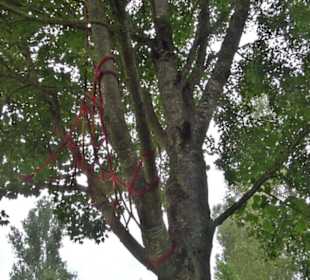 Blühendes Neresheim