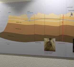 Höhlenkundliches Museum Laichingen