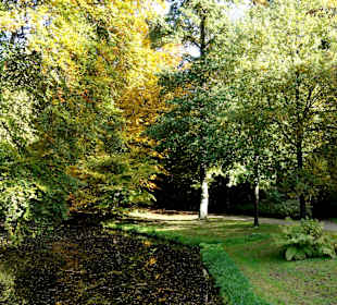 Herbstspaziergang durch den Bürgerpark Bremen