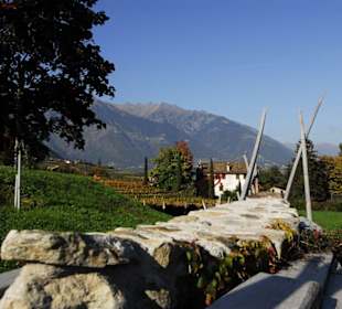 Labyrinthgarten Ansitz Kränzel
