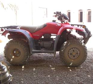 So sahen die Quads aus. 