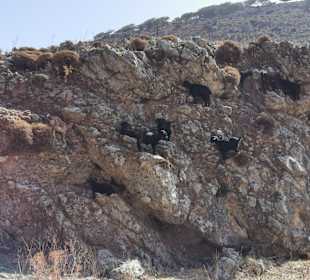 Wandern Georgioupolis