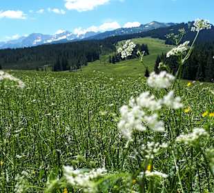 Wandern Ruhpolding