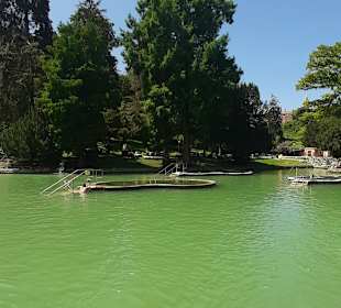 Parco Termale Villa dei Cedri