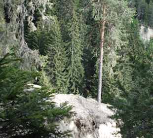 Mitten im Wald auf einmal die Pyramiden