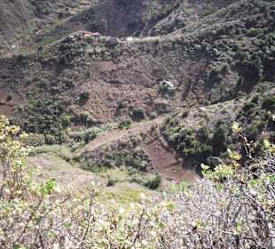 Ackerbestellung im Gebirge