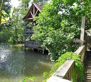 Impressionen aus dem Biergarten Obere Mühle