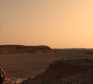 BBQ Dinner - Nighttour powerd by  E-Motion