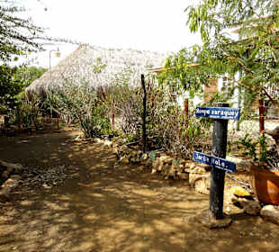 Impressionen vom Rundgang durch den Kräutergarten