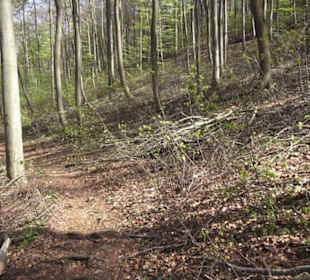 Wanderweg Hochgehkämpft