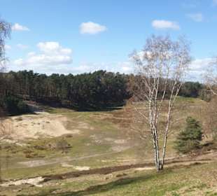 Fischbecker Heide Wanderwe 6
