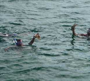 Mittag zum selber fangen