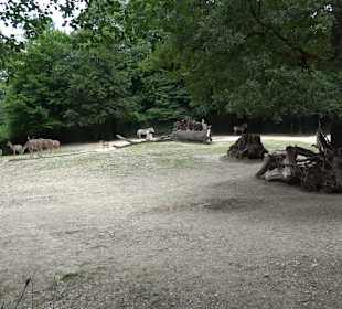Tierpark Hellabrunn