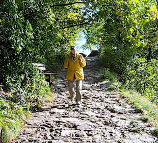 Ochsentodweg