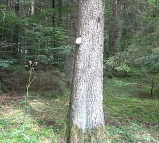 Wanderung Froschteich-Tour