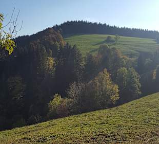 Wandern Emmendingen
