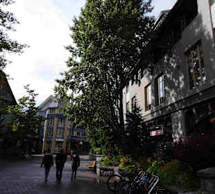 Shannon Falls Provincial Park