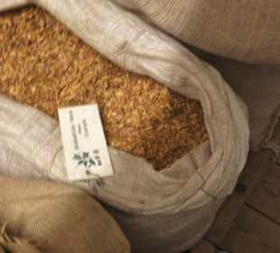 Spicy's Gewürzmuseum