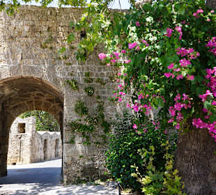 Altstadt Rhodos Stadt