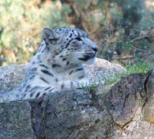 WP LH Herbst Impression