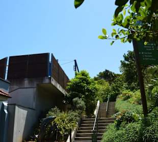Taronga Zoo