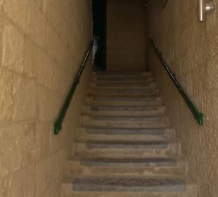 The Eexhibition of the Schranz artists