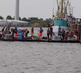 Startaufstellung der Papierboote