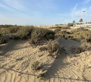 Dünen von Maspalomas